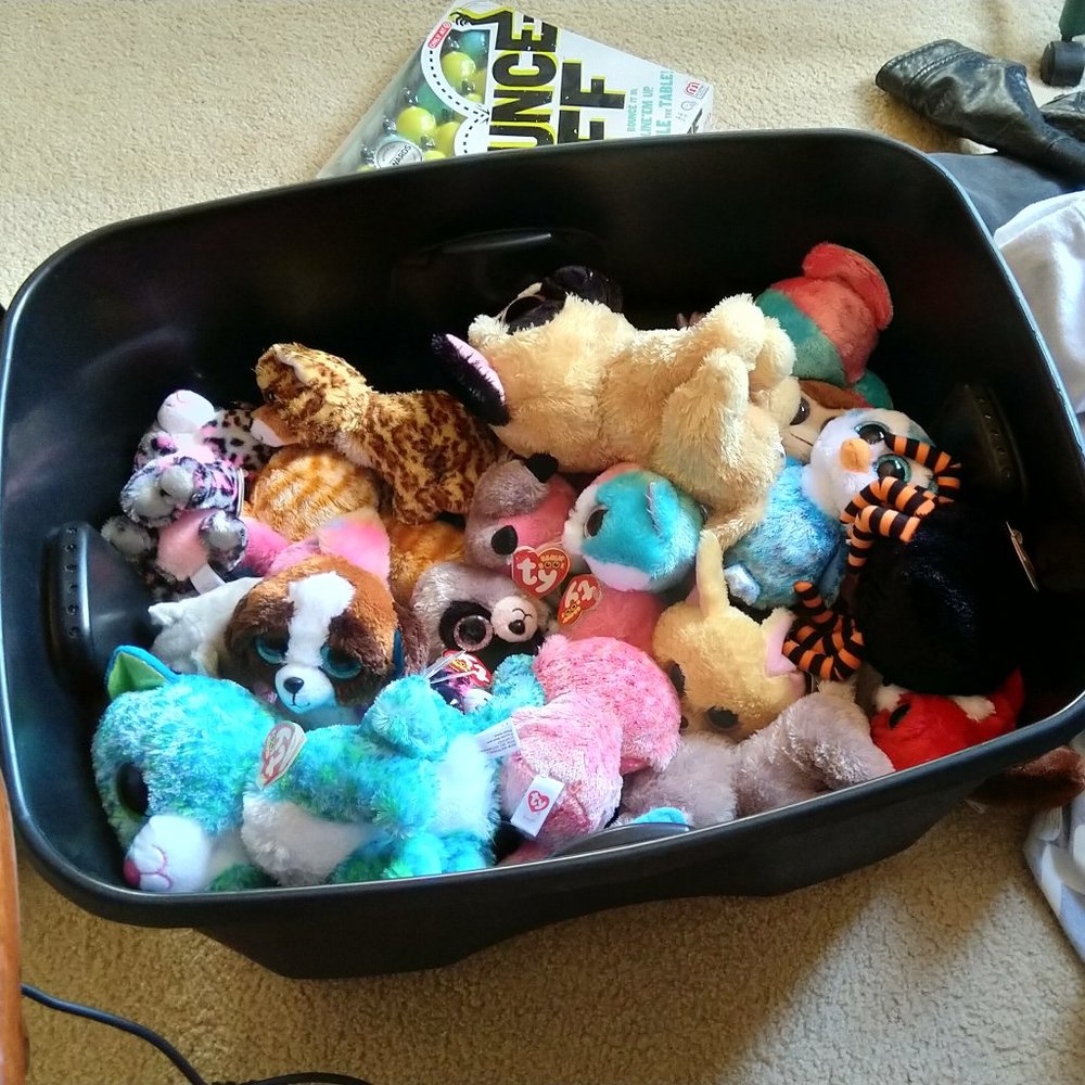Beanie Boo Mystery Box